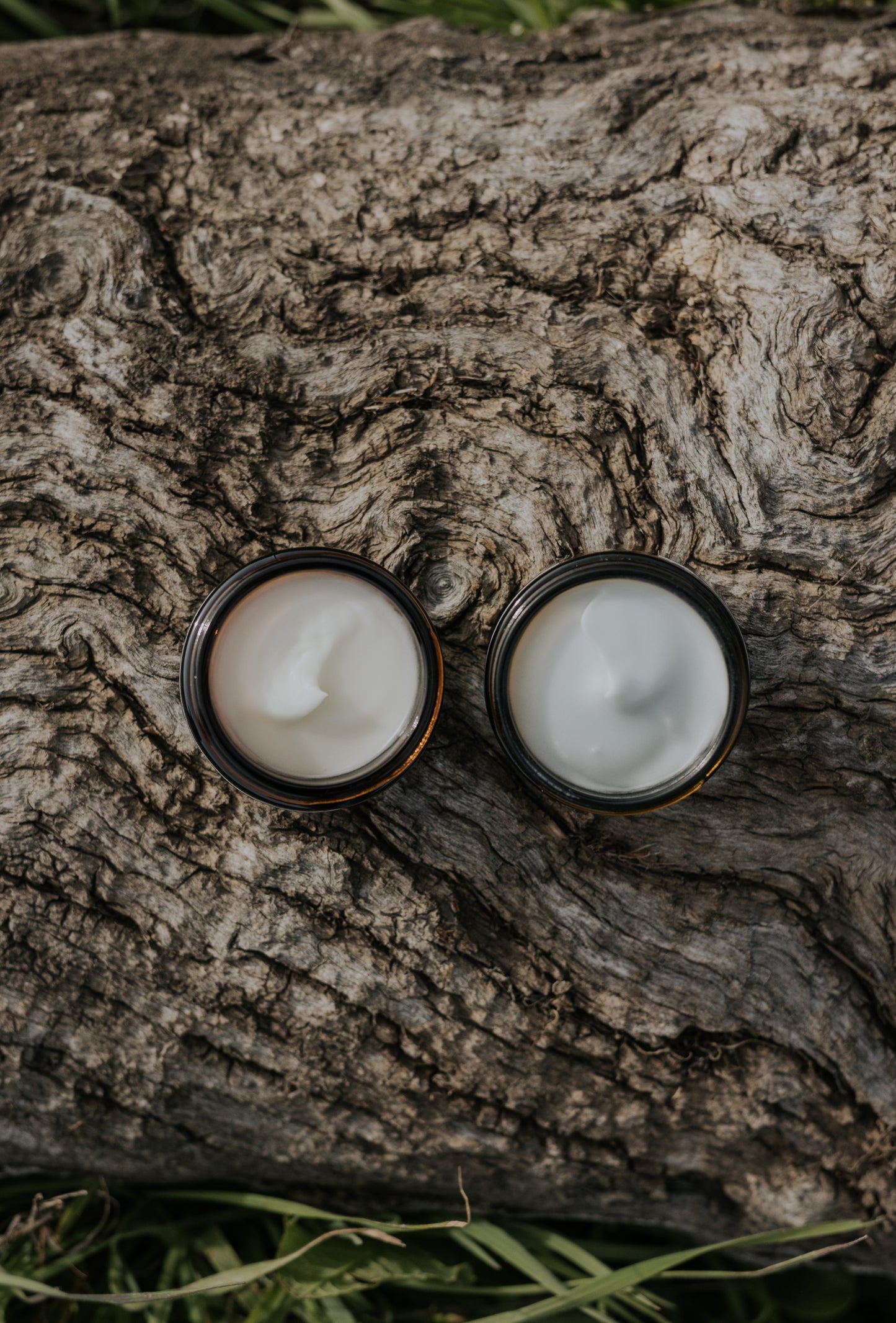 Tallow Face Cream