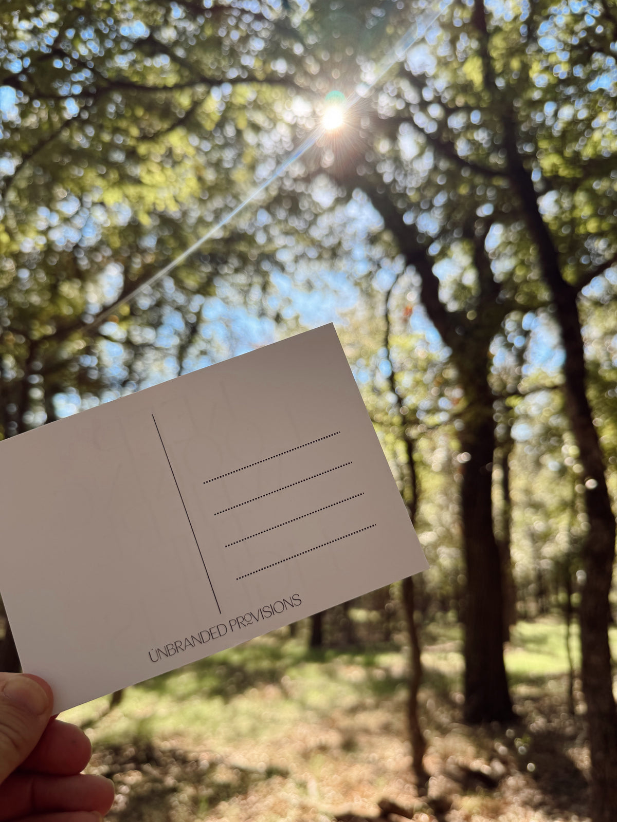 the light postcard
